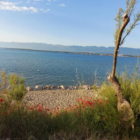 Sunside アパート ニン