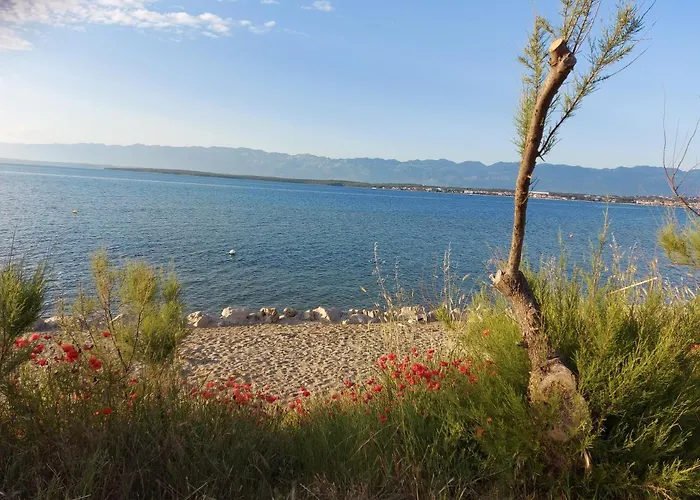 Sunside דירה נין